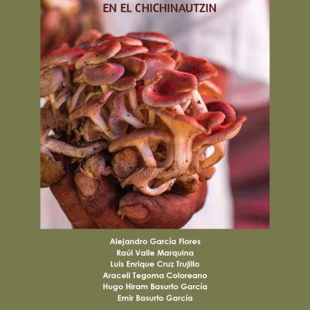 Hongos. Saberes y sabores en el Chichinautzin